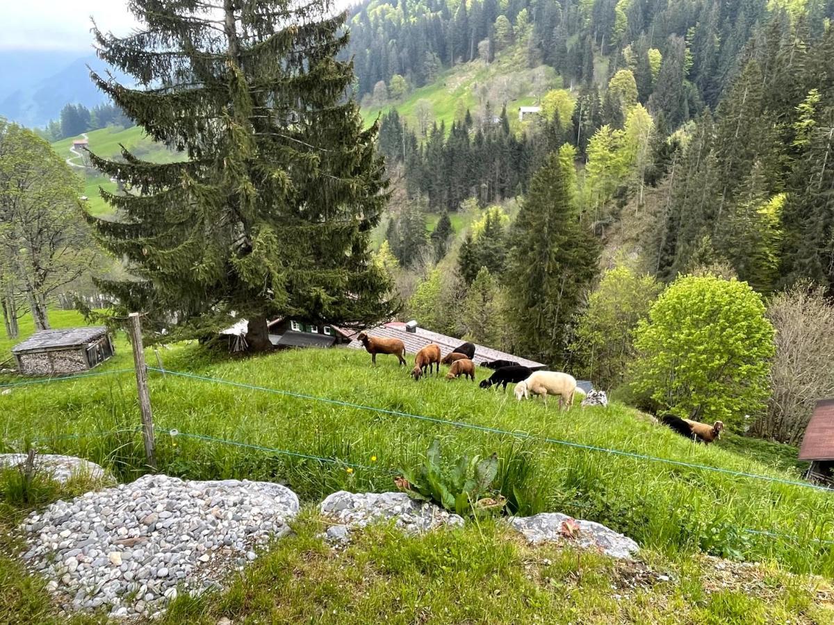 Alpenchalet Piz Huesli Tschagguns Zewnętrze zdjęcie