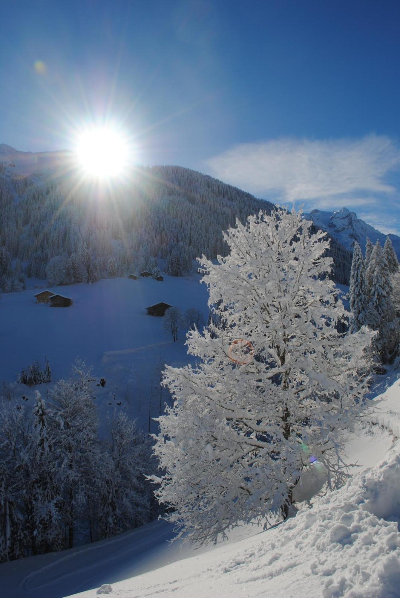 Alpenchalet Piz Huesli Tschagguns Zewnętrze zdjęcie