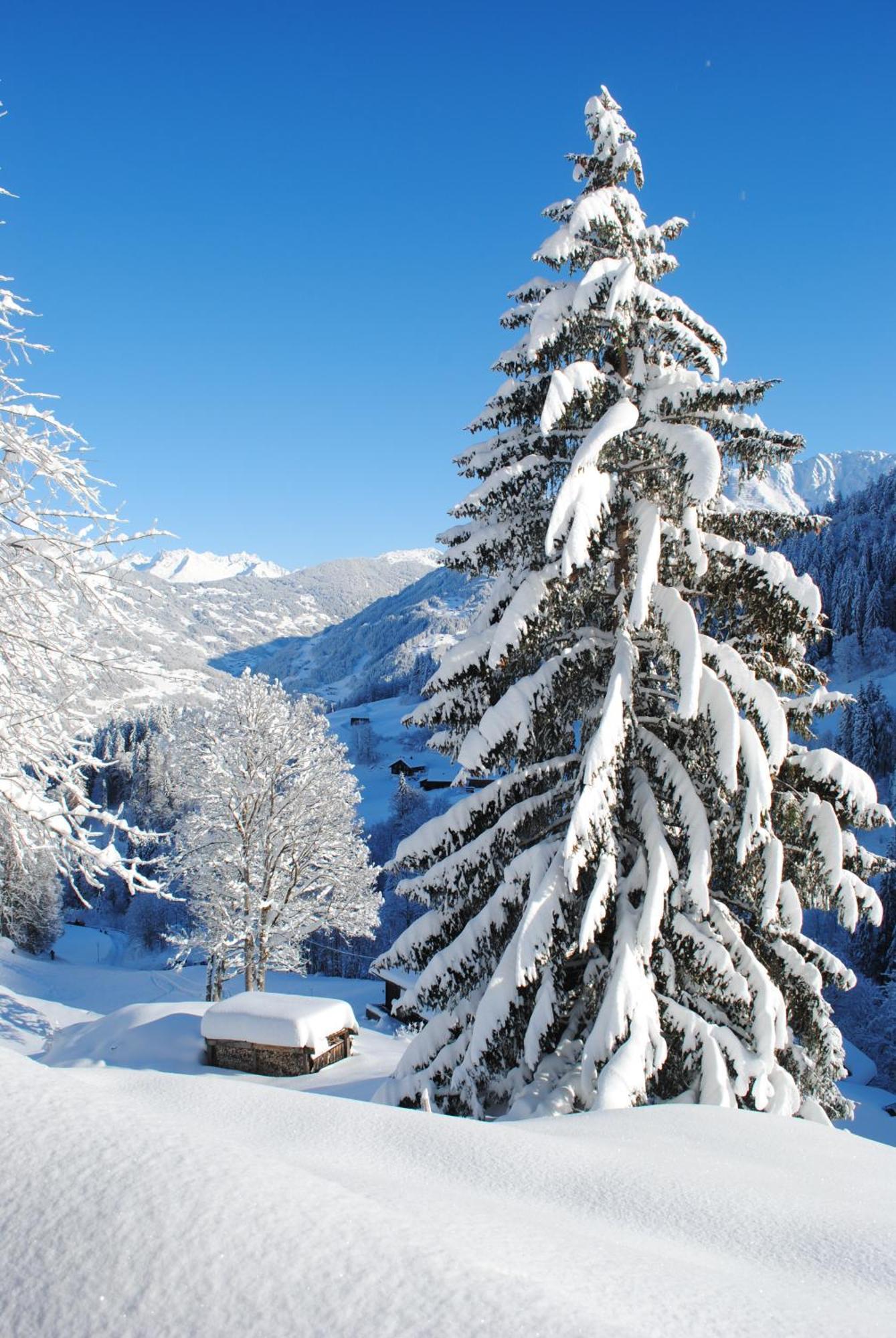 Alpenchalet Piz Huesli Tschagguns Zewnętrze zdjęcie