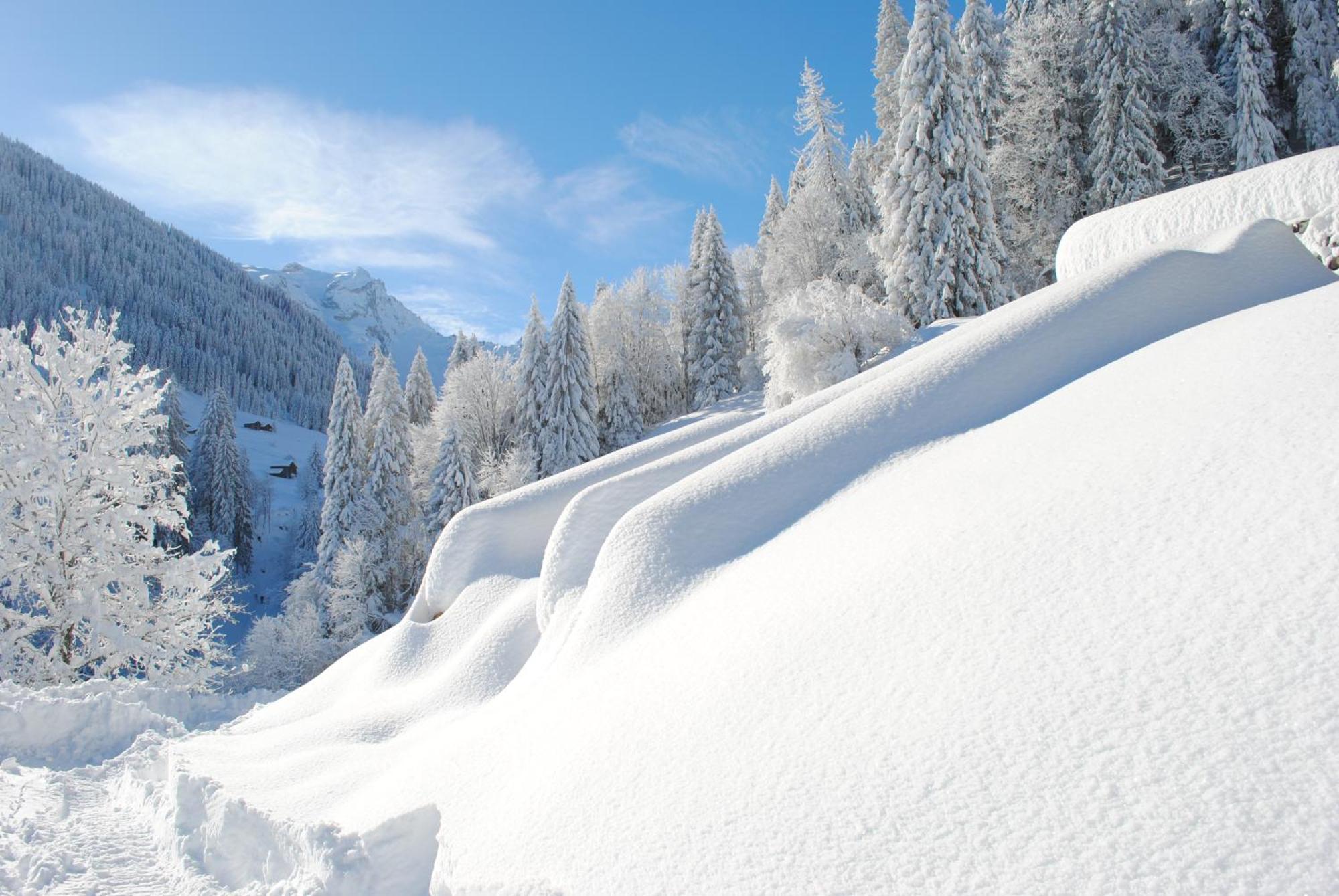 Alpenchalet Piz Huesli Tschagguns Zewnętrze zdjęcie