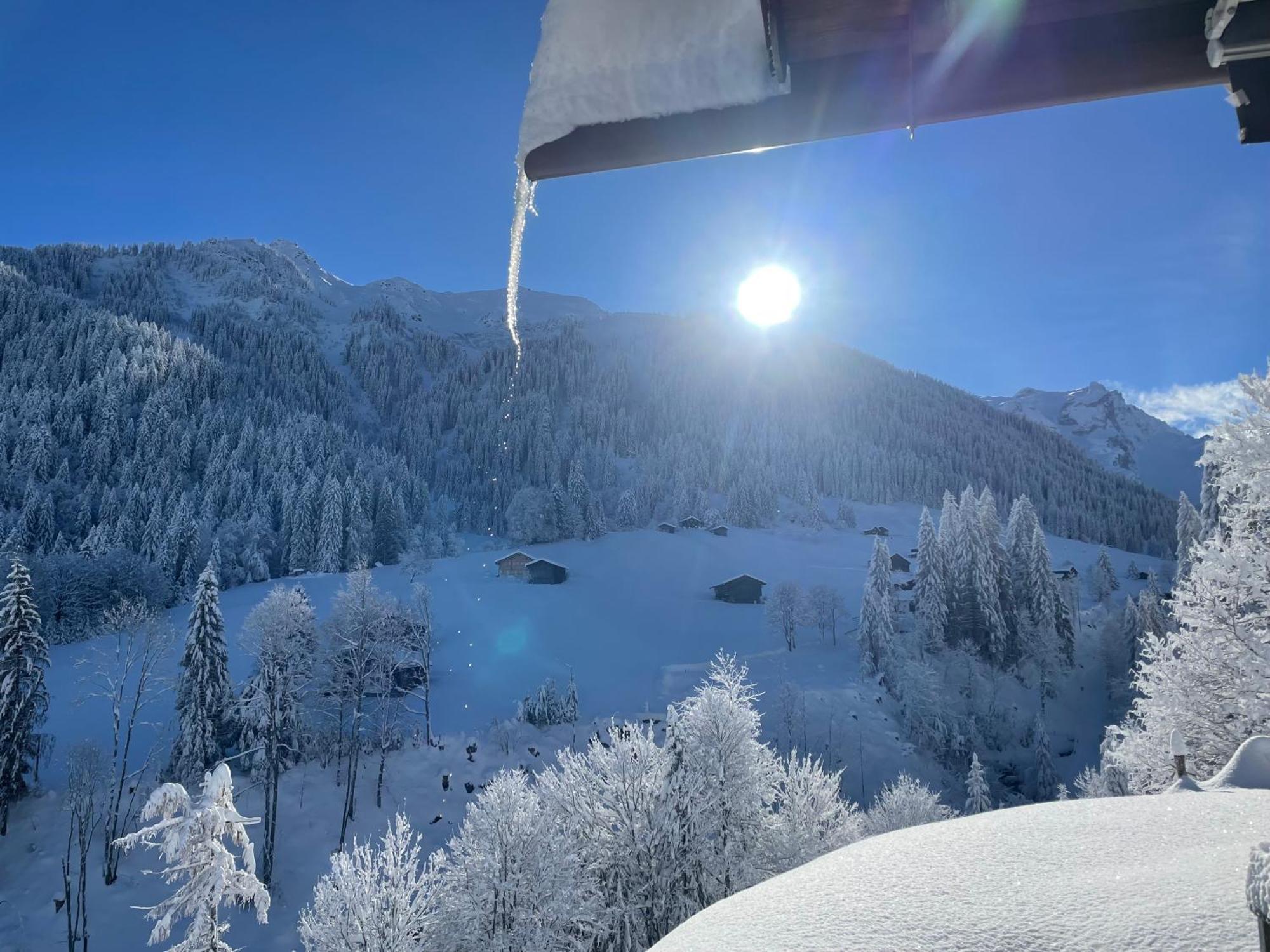 Alpenchalet Piz Huesli Tschagguns Zewnętrze zdjęcie