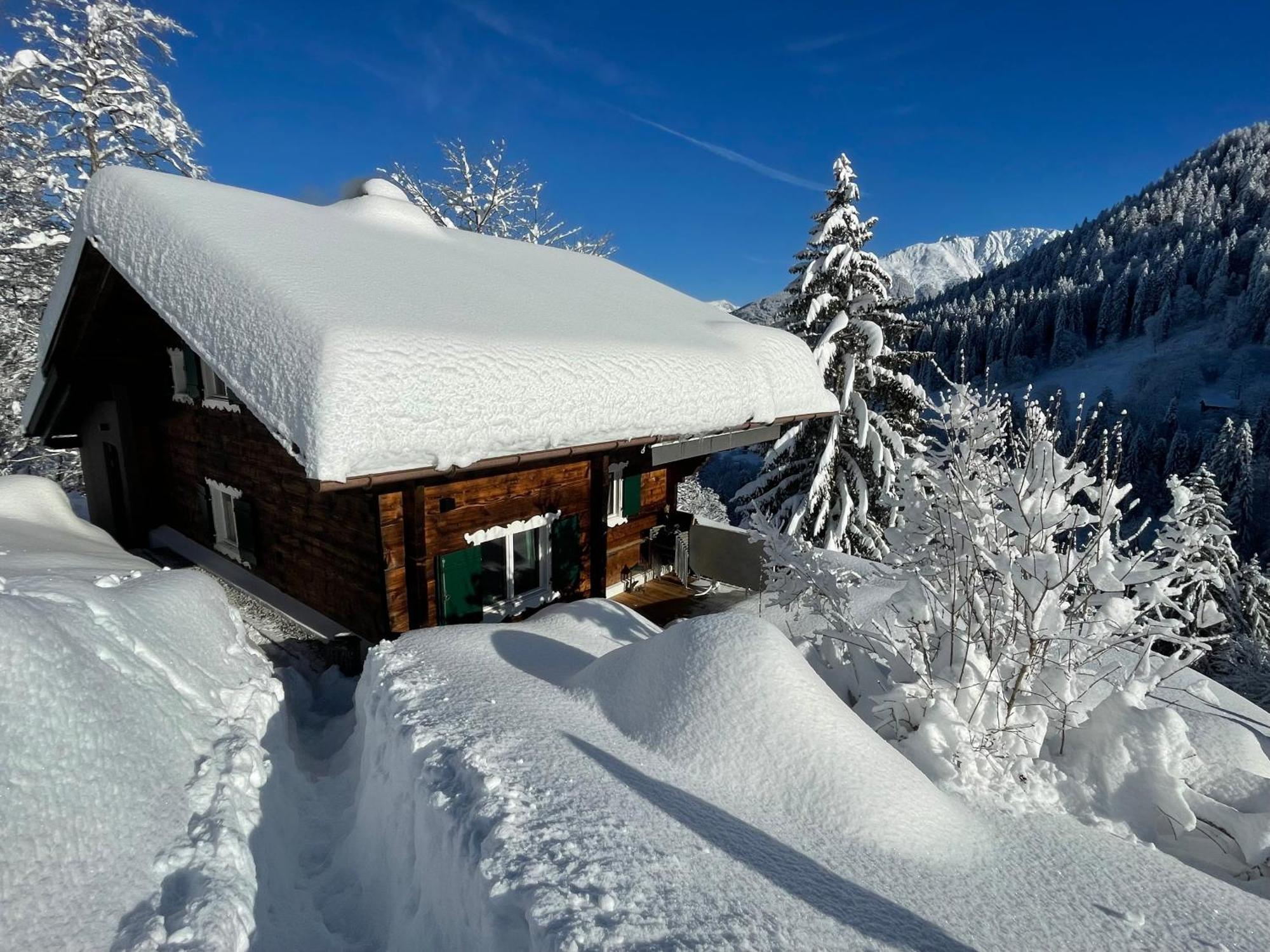 Alpenchalet Piz Huesli Tschagguns Zewnętrze zdjęcie
